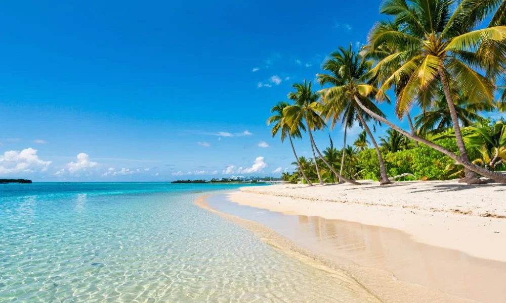 пляж.png пляж.png