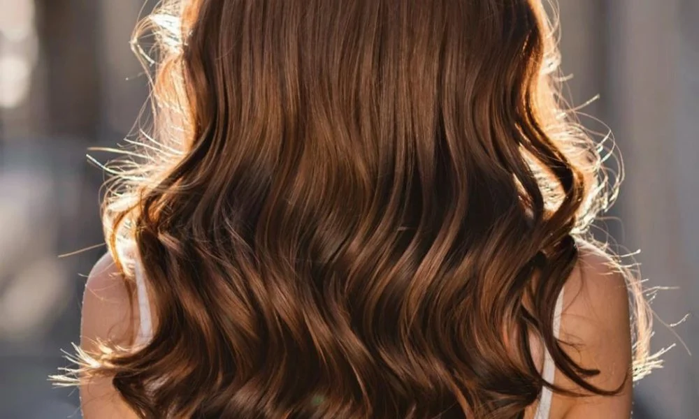 сзади.png сзади.png