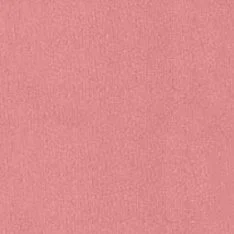 Румяна для лица Blush (420005927, 01, Малина, 5 г)