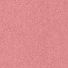 Румяна для лица Blush (420005927, 01, Малина, 5 г)
