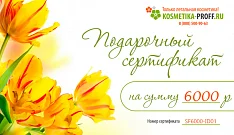 Подарочный сертификат (sertificat_6000, Сертификат на 6000 рублей)