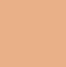 Стик для макияжа Lip to Cheek (420006235, 04, Золотой, 6,1 г)