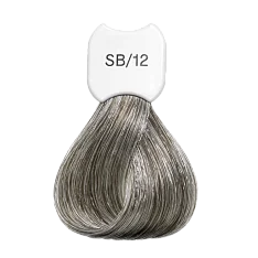 Крем-краска для волос Экстра светлый блонд Blonde Beauty Super Lightening Hair Color Treatment Cream (KSBSB12, SB12, Super blonde ash pearl blonde beauty, 60 мл)