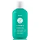 Шампунь от перхоти Liding Healthy Scalp Shantif Velian