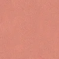 Румяна для лица Blush (420005929, 02, абрикос, 5 г)