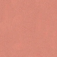 Румяна для лица Blush (420005929, 02, абрикос, 5 г)