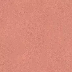 Румяна для лица Blush (420005929, 02, абрикос, 5 г)