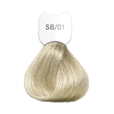 Крем-краска для волос Экстра светлый блонд Blonde Beauty Super Lightening Hair Color Treatment Cream (KSBSB01, SB01, Super blonde ash blonde beauty, 60 мл)