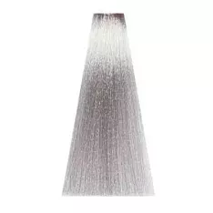 Средства для изменения цвета Spacolor (13009-AS, Silver, Корректор блеск серебрянный, 100 мл, Корректоры)