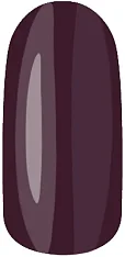 Гель-лак для ногтей NL (001713, 1010, невидимая леди, 6 мл)