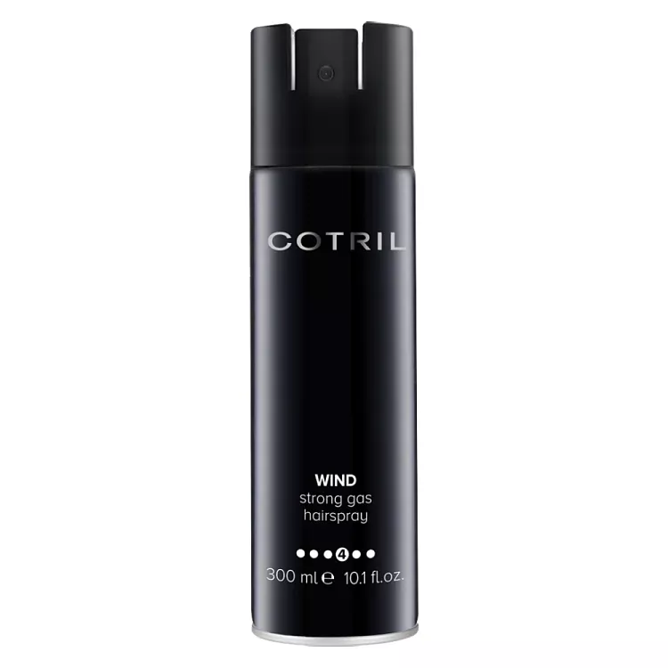 Лак сильной фиксации Wind Strong Gas Hairspray (PNCOTSY0115, 300 мл)