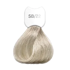 Крем-краска для волос Экстра светлый блонд Blonde Beauty Super Lightening Hair Color Treatment Cream (KSBSB22, SB22, Super blonde deep pearl blonde beauty, 60 мл)