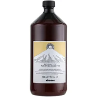 Очищающий шампунь против перхоти волос Davines NaturalTech Purifying Shampoo (1000 мл) Davines