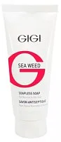 Мыло жидкое непенящееся SW Soapless soap GiGi