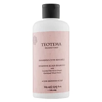 Шампунь для чувствительной кожи головы Teotema