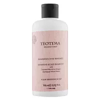 Шампунь для чувствительной кожи головы Teotema