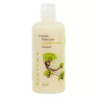 Разглаживающий шампунь Teotema