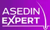 Asedin Expert (Россия)