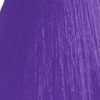 Пигмент прямого действия для волос Color Flames (38106600, 06, Violet, 300 мл) пигмент прямого действия без аммиака matisse color
