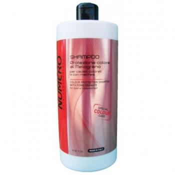 Шампунь для защиты цвета с эктрактом граната Numero Colour Brelil