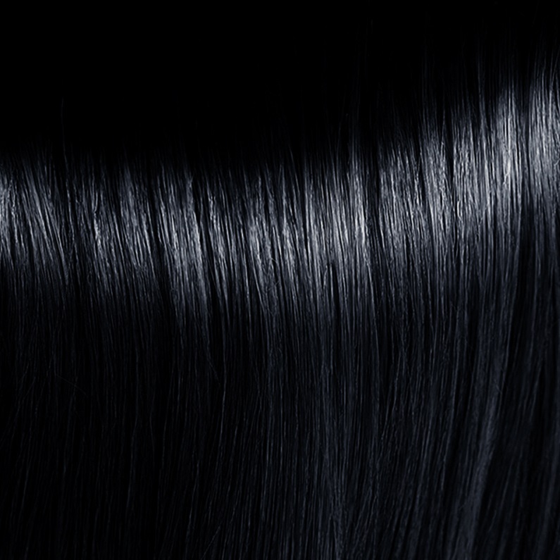 Купить Краска для волос Revlonissimo Colorsmetique (7245290001, 1, иссиня-черный, 60 мл, Натуральные оттенки), Revlon (Франция)