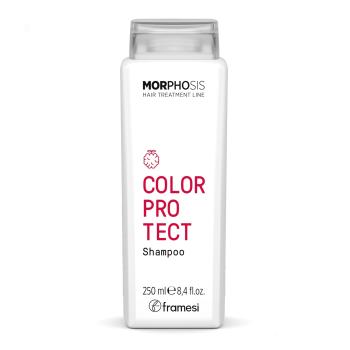 Шампунь для окрашенных волос Color protect Framesi
