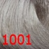 Крем-краска без аммиака Reverso Hair Color (891001, 1001, Блондин ультра пепельный, 100 мл, Блондин) кондиционирующий крем hair cream 500 мл