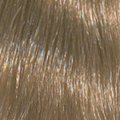 

Baco Soft Ammonia Free - Стойкий безаммиачный краситель (AF10.10, 10.10, платиновый пепельный блондин, 60 мл, Суперосветляющий, 123)