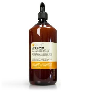 Шампунь антиоксидант для перегруженных волос (Insight Professional)