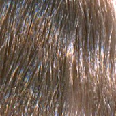 Hair Thickening Fibers - Кератиновые волокна (BP-STY00015N, Light Brown, Светло-коричневый, 12 г)
