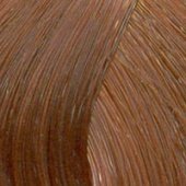 Londa Color New - Интенсивное тонирование (81512566, 8/43, светлый блонд медно-золотистый, 60 мл, Blond Collection)