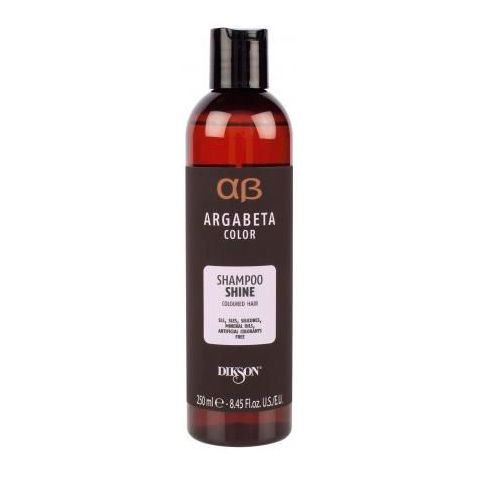 Шампунь для окрашенных волос с маслами черной смородины, виноградных косточек и сладкого миндаля Shampoo Shine (2521, 250 мл) шампунь для окрашенных волос tinta color shampoo