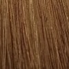 Крем-краска для волос Color Explosion (386-7/3, 7/3, Средне-золотистый блондин, 60 мл, Базовые оттенки)