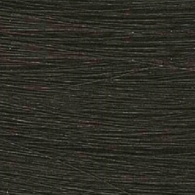 

Тонирующая краска Colorance Acid Color в баллоне (11383, 5N@BP GREY, светло-коричневый с перламутровым сиянием (перламутровый бистр), 120 мл)
