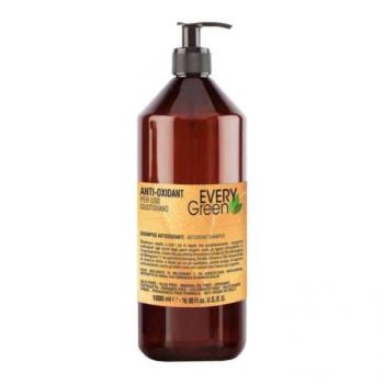 Антиоксидант шампунь Anti-oxidant Shampoo Antiossidante Dikson