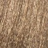 Безаммиачный перманентный крем-краситель для волос Escalation Easy Absolute 3 (120626072, 88/21, Интенсивный светлый блондин платиновый, 60 мл, Платиновые) крем краска echoscolor для окрашивания волос echos line 7 0 русый интенсивный 100 мл