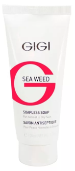 Мыло жидкое непенящееся SW Soapless soap (GiGi)