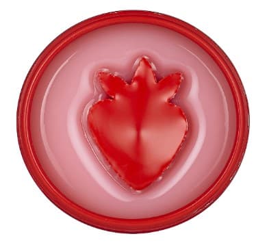 

Тающий бальзам с комплексом масел для губ Peko Jjang Melti Jelly Lip Balm (20017797, 02, Малиновый, 6 г)