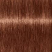 Стойкая крем-краска для волос (2264942, 6.38+, Темный русый золотистый шоколадный интенсивный , 60 мл) стойкая крем краска для волос 2148884 модные оттенки 3 8 60 мл темный коричневый шоколадный