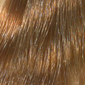

Baco Soft Ammonia Free - Стойкий безаммиачный краситель (AF8.30, 8.30, светлый золотистый блондин, 60 мл, Золотистый, 123)