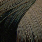 Londa Color New - Интенсивное тонирование (81630901, 6/71, тёмный блонд коричнево-пепельный, 60 мл, Base Collection)