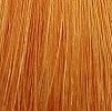 Крем-краска для волос Color Explosion (386-8/43, 8/34, Медно-золот. блондин, 60 мл, Базовые оттенки)