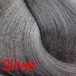 Крем-краска для волос On Hair Power Color (SHPWSIL, SIL, серебряный, 100 мл) филлер для волос с коллагеном collagen water full moist treatment hair filler 10 13мл филлер 10 13мл