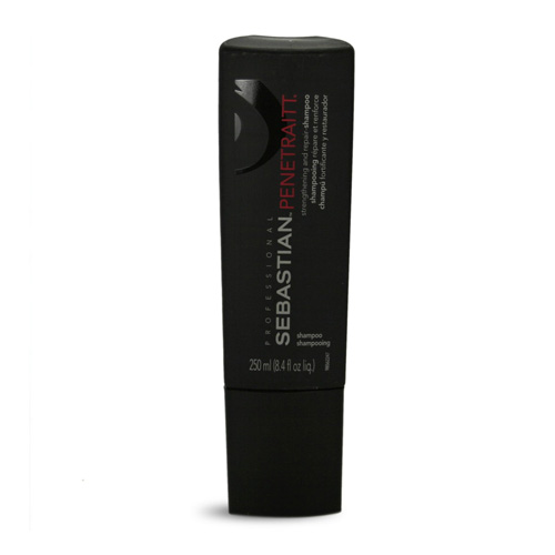 Шампунь для восстановления и гладкости волос Penetraitt Shampoo (4019/4262, 250 мл)