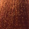 Безаммиачный перманентный крем-краситель для волос Escalation Easy Absolute 3 (120626037, 77/66, Насыщенный медный, 60 мл, Медные) безаммиачный перманентный крем краситель для волос escalation easy absolute 3 120626022 8 03 светлый блондин золотистый 60 мл натуральные золотистые