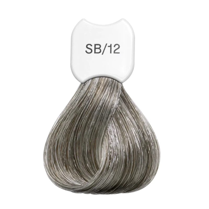 Крем-краска для волос Экстра светлый блонд Blonde Beauty Super Lightening Hair Color Treatment Cream KSBSB12 SB12 Super blonde ash pearl blonde beauty 60 мл 1480₽