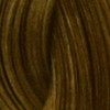 Стойкая крем-краска для волос Profy Touch с комплексом U-Sonic Color System (большой объём) (56535, 7.31, Золотисто-жемчужный светло-русый, 100 мл) dctr go healing system охлаждающий крем обёртывание водорослевое hi tech wonder burner 500