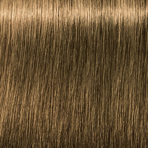 Набор для окрашивания волос Alpha Homme (AH/S7-08, 8/0, светло-русый, 1 шт) от Kosmetika proff