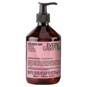 Шампунь для окрашеных волос Colored Hair Shampoo Protettivo Dikson 500 мл