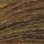 Перманентный краситель без аммиака Glow Zero Ammonia Free Permanent Hair Color (PNCOTCO0065, 7N , Русый, 100 мл) ammonia free интенсивное тонирование 81630689 0 68 фиолетово синий микстон 60 мл